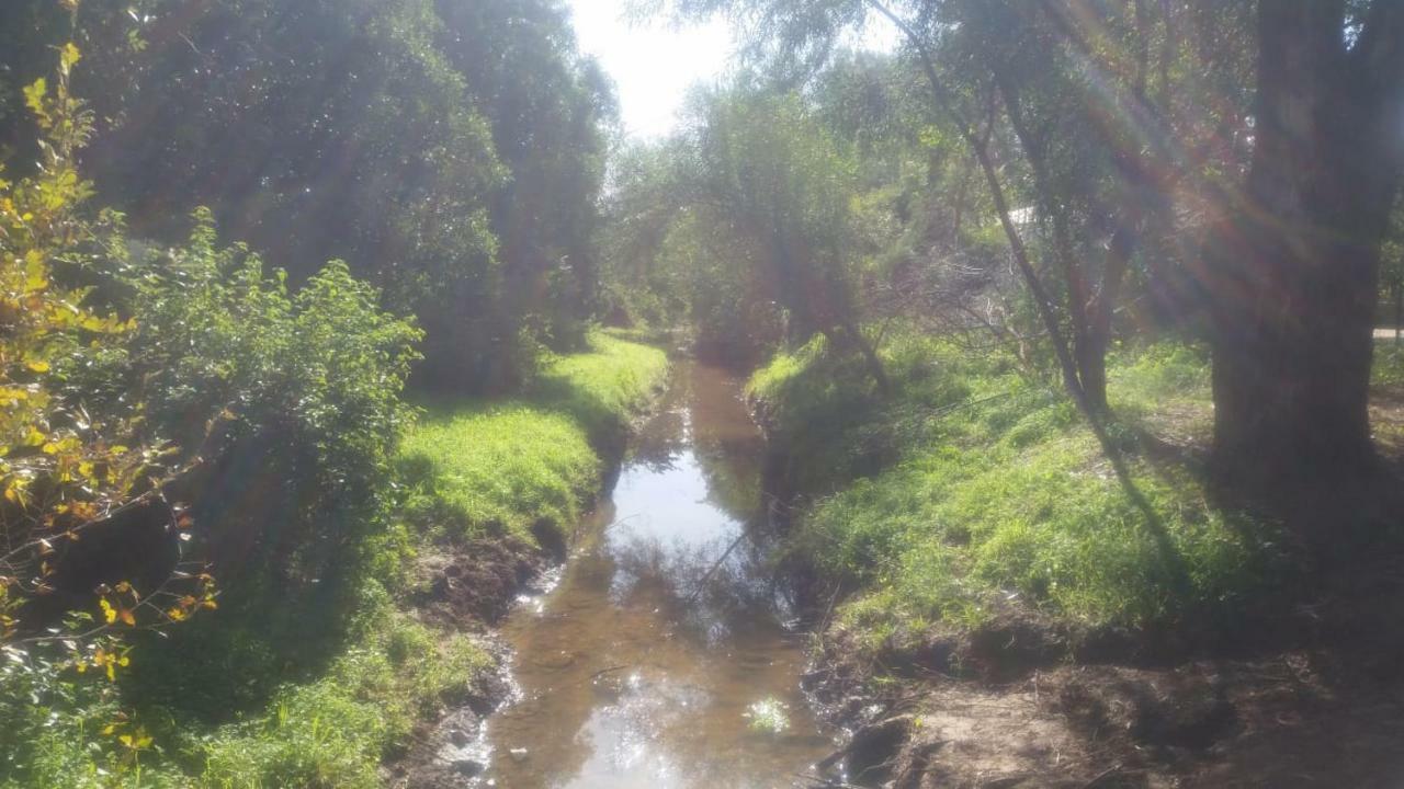 The Pearl Daire Yehud-Monosson Dış mekan fotoğraf